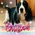 Linda Dunn Eng's profile image