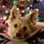 Karen Dahmen Moore's profile image