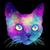 Anthony Berdux's profile image