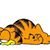 Tami Brotosky's profile image