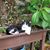 Mary Ann D Dalgo's profile image