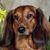 Kathie Humphrey's profile image