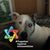 Marc S Cohen's profile image