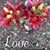 Diane Fisk Porter's profile image