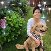 Mary Odom's profile image