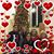 Janine Collings's profile image