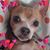 Janelle Parker Allen's profile image