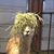 Brenda Fitzgerald's profile image