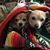 Stephanie Wilson Jensen's profile image