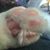 Alicia Oliveras's profile image