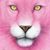 Brenda Dunaway's profile image