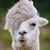 James Weston's profile image