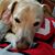 Valerie Webb's profile image