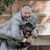 Rick Seagraves's profile image