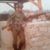 Moris Rodriguez's profile image