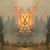 Marshall Robinson's profile image