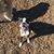 Micheline Poncelet's profile image