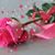 Ernestina Marcial's profile image