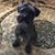 Melissa Breedlove's profile image