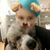 Tecla Gough's profile image