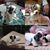 Sherry Hultberg's profile image