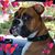 Lisa Handley's profile image