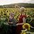 Melissa Chartier Surprise's profile image