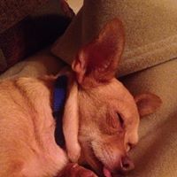 James Garrett's profile image