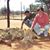 Karen Terreberry's profile image
