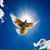 Irene Maria Kamouzas's profile image