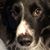 Dianne Marshall's profile image