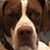 Katie Hunt Johnson's profile image