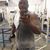 Klemilson Ferreira Ferreira Santos's profile image