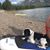 Jenny Gunville's profile image