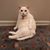 Tami Hammac's profile image
