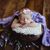 Charleen Hankins Harrellson's profile image