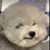 Rob Hotrod's profile image