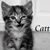 Cathy Smith's profile image