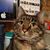 Jennifer Sethre's profile image