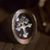 Luca Paccariè's profile image