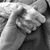 Natalie Hilliard Fanning's profile image