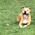 Lisa Radford Wyatt's profile image