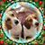 Joann Galati's profile image