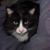 John Harpole's profile image