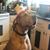 Amanda Oldfather Johnston's profile image