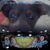 Ro Santacruz's profile image