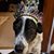 Nancy J. Hill's profile image