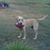Sharon Brissey's profile image