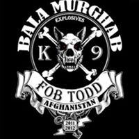 Andrew Wolf's profile image