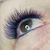 Shari Saeler-Vinroe's profile image